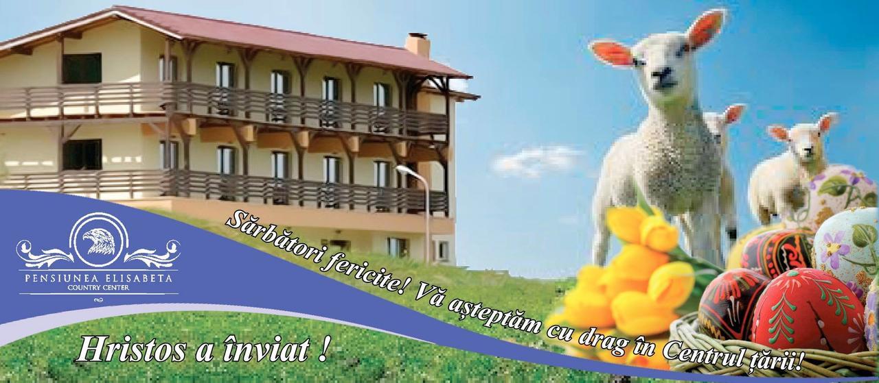 Pensiunea Elisabeta Merghindeal Exterior photo